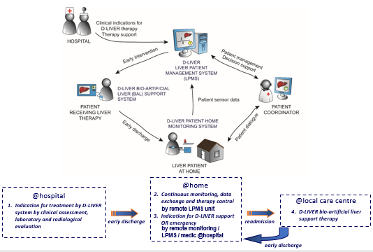 <p>d-LIVER: Why? A clinical perspective </p>