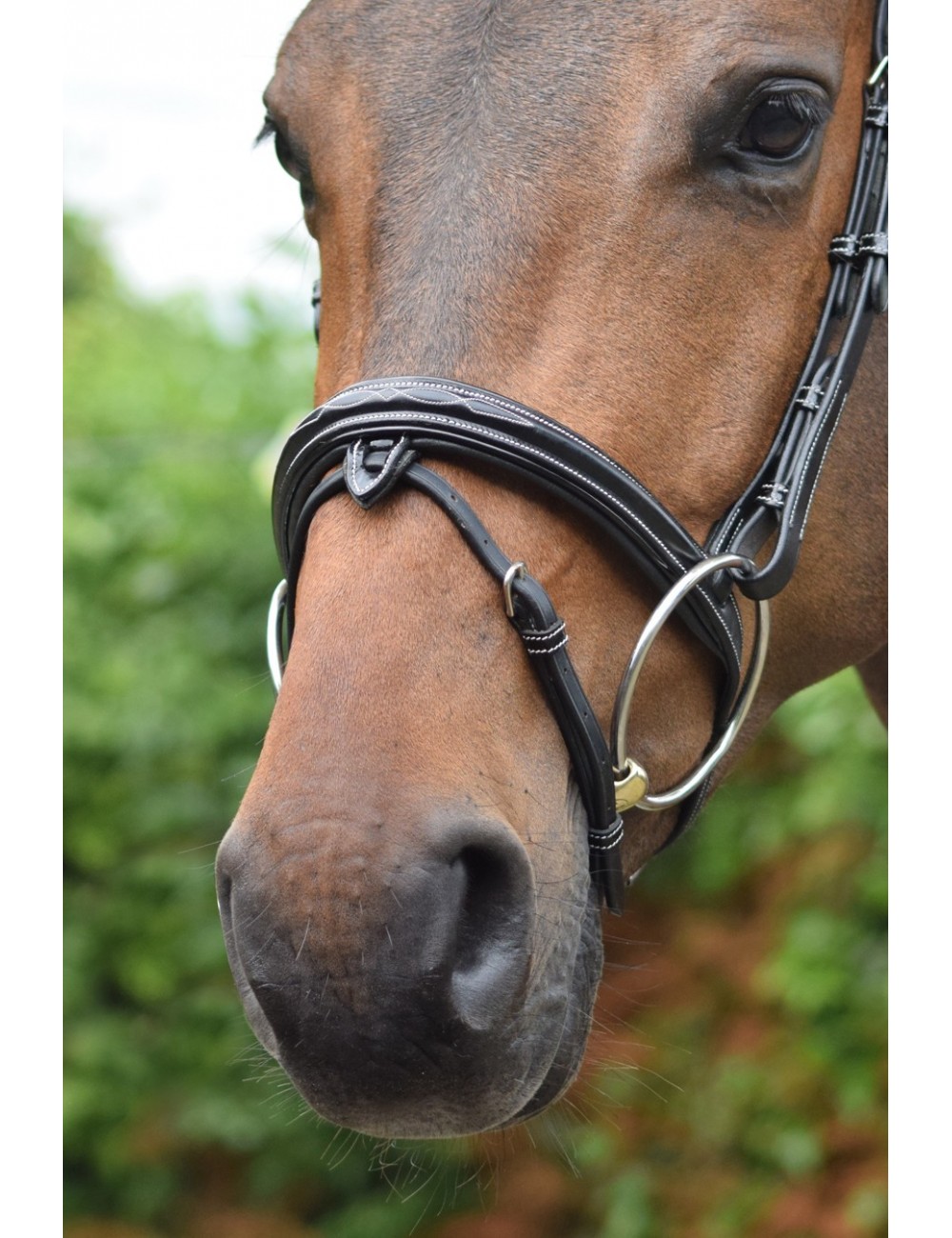 <p>A strap that encircles the horse's nose and plays a crucial role in ensuring the horse's mouth remains closed. It should be adjusted to fit two fingers. </p>