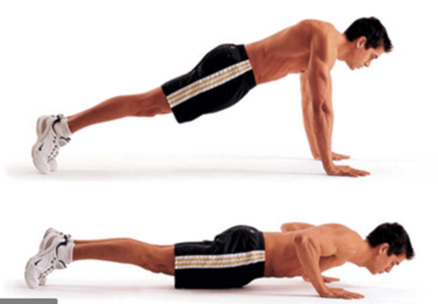 <p>lengthening of muscle</p>