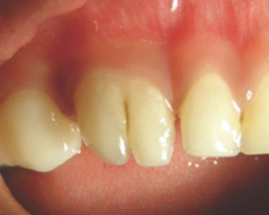 <p>What’s this?</p>