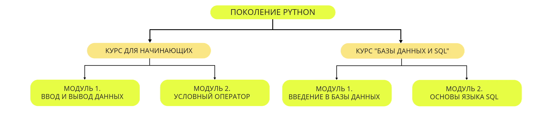 <p>В этой модели данные представляют собой древовидную структуру, где каждый элемент (запись) связан с одним родителем. Это похоже на структуру папок на компьютере: одна папка может содержать другие папки и файлы.</p>