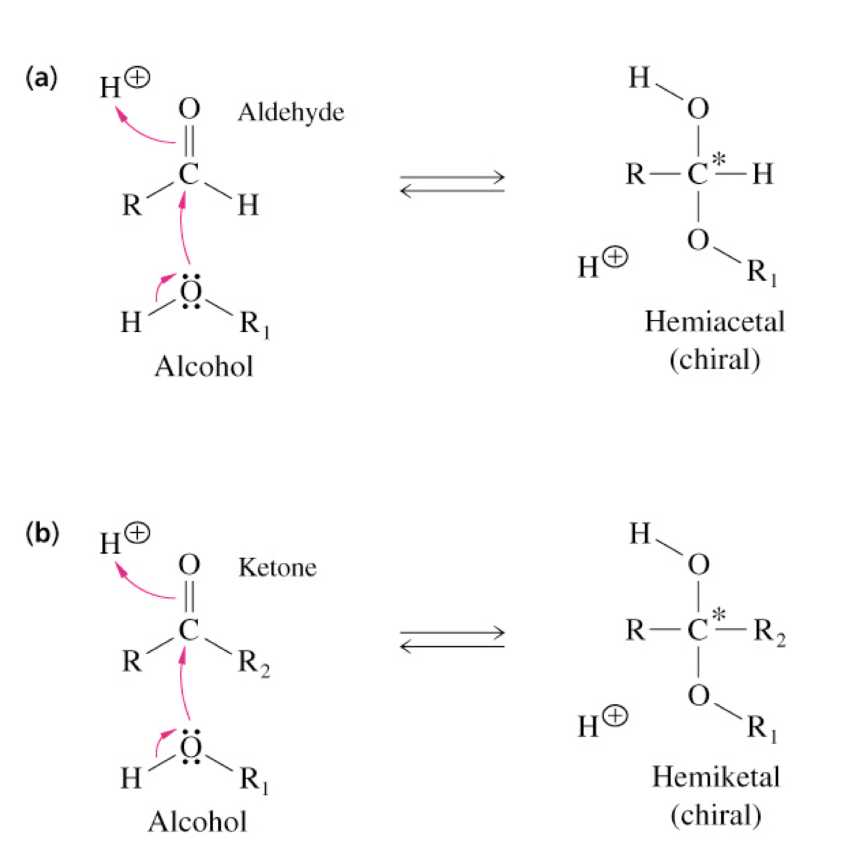 <p>Reaction of an alcohol with:</p><p>(a) An aldehyde to form a hemiacetal&nbsp;</p><p>(b) A ketone to form a hemiketal&nbsp;</p><p></p>