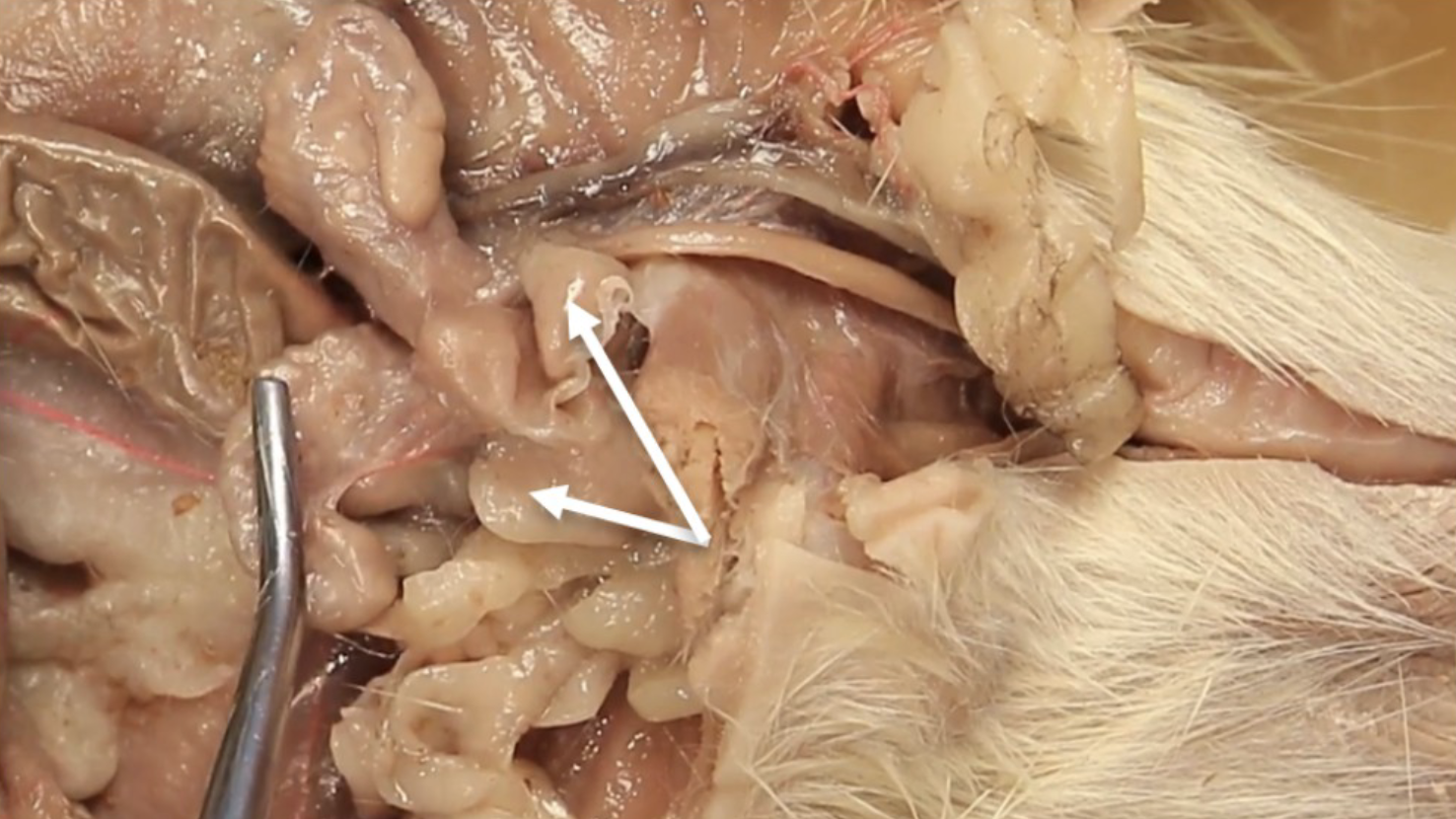 <p>What is this?</p>