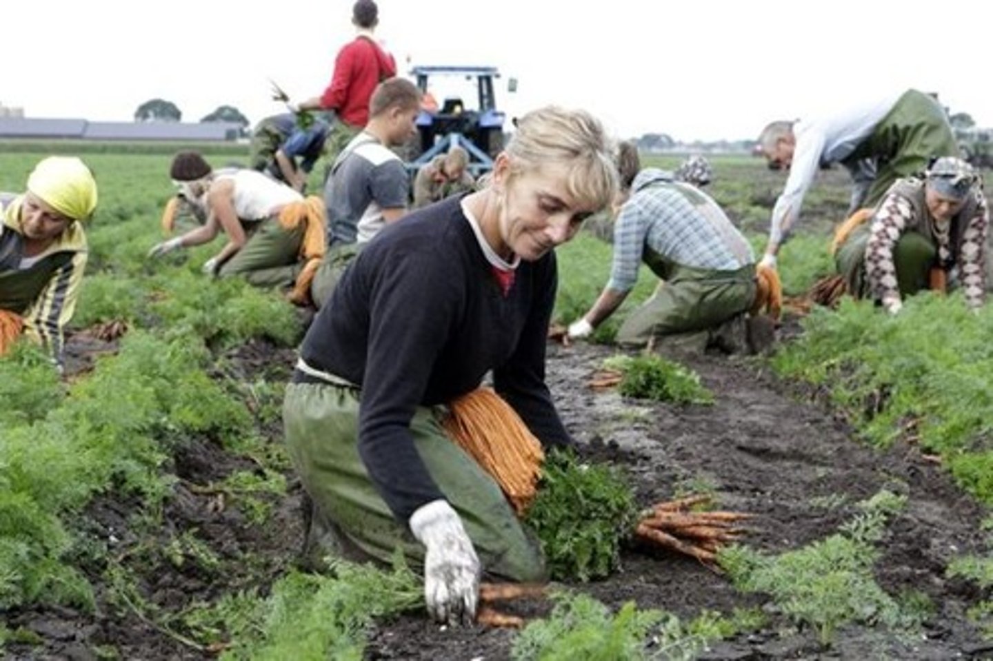 <p>farmer (female)</p>