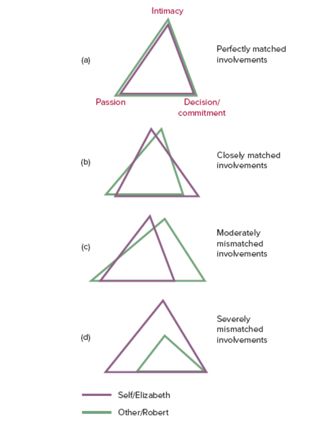 <p>-top point of triangle is intimacy, left is passion, right is decision</p><p>-shows how people can be well matched or mismatched</p><p>-when there is a good match between the partners love, they are more satisfied</p><ul><li><p>mismatched triangles show dissatisfaction in the relationship</p></li></ul>