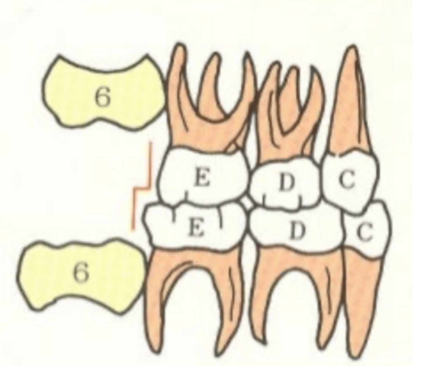<p>Which terminal plane?</p>