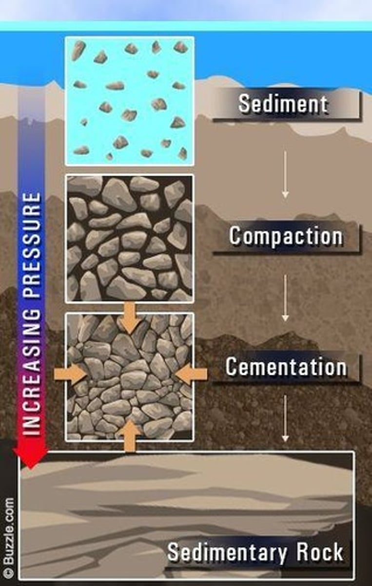 <p>Rocks made of compacted weathered and eroded rock particles that have empty spaces between grains, thus exhibiting porosity.</p>