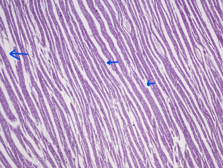 <p>What is this?</p>