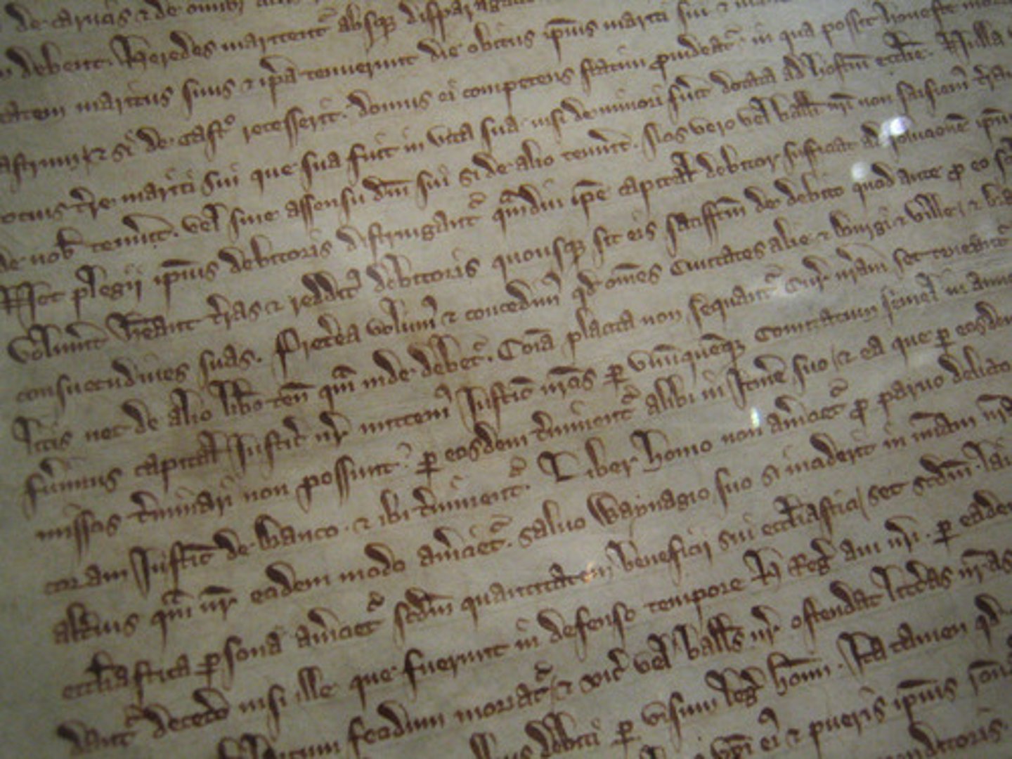 <p>"The Great Charter"; a written legal agreement signed in 1215 that limited the English King's power</p><p>and listed the rights of English citizens.</p>