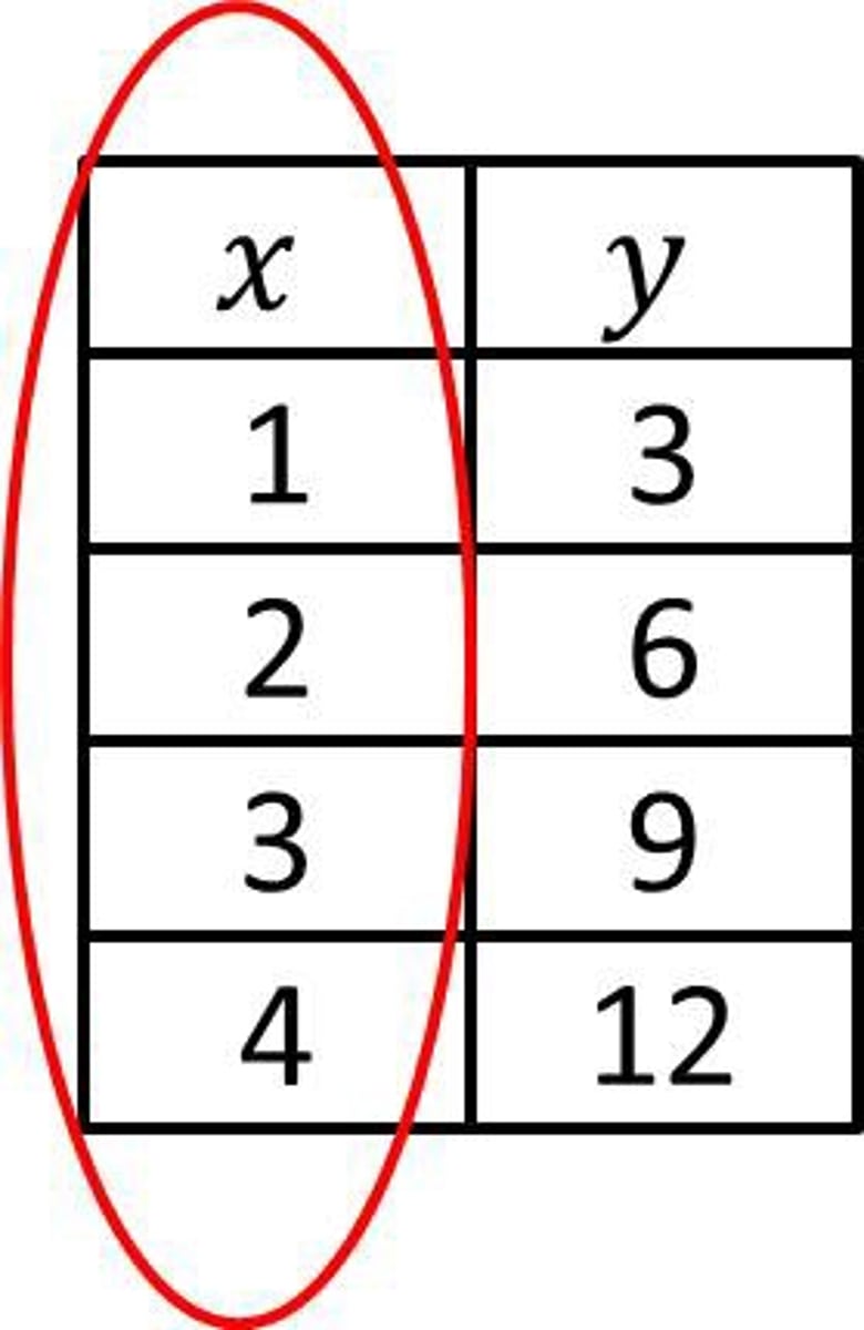 <p>All of the input or x values in a function (xy)</p>