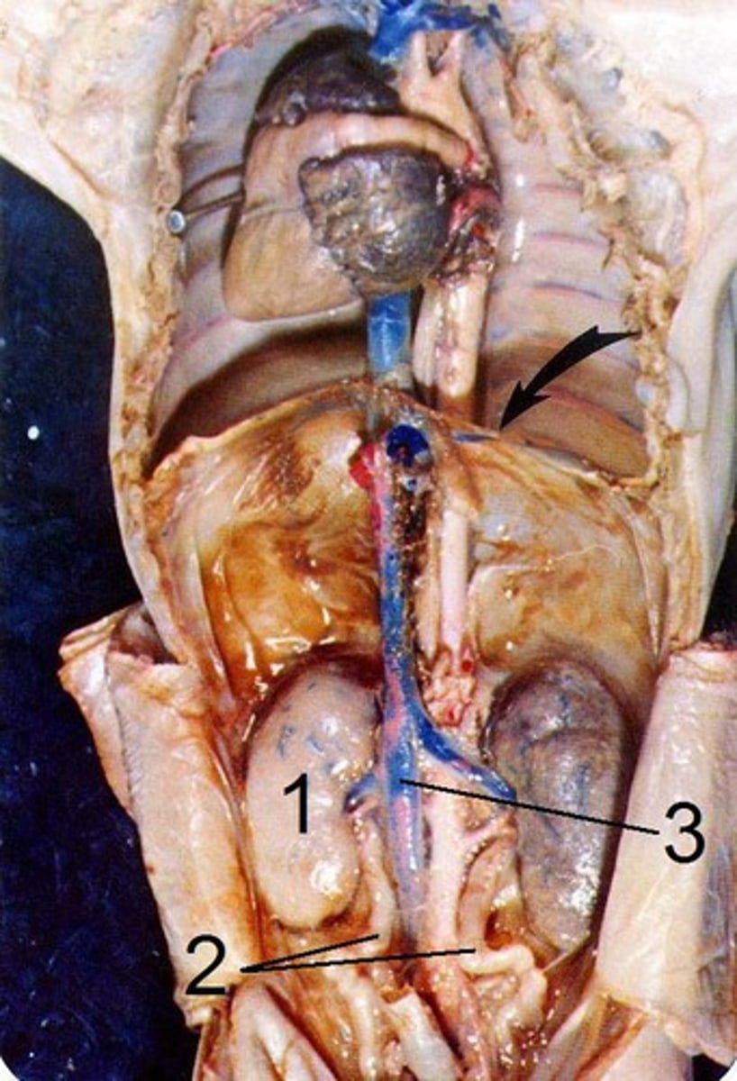 <p>1</p>