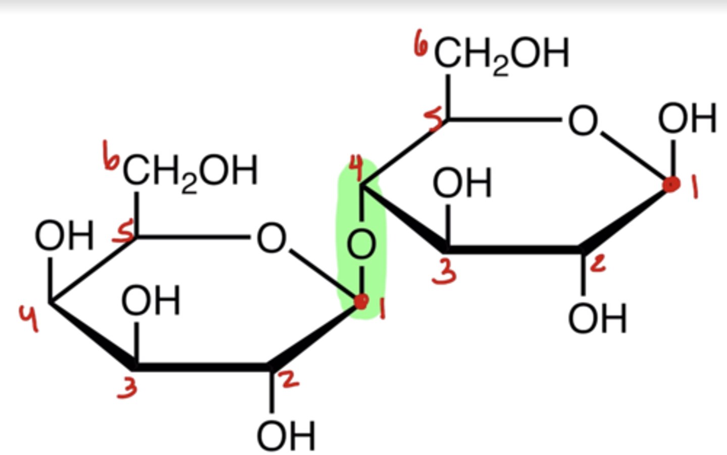 <p>1. Number each sugar separately and identify carbon #1 (the anomeric carbon) on each ring.</p><p>2. Identify which carbons are linked between the two sugars (e.g 1 &amp;4)</p><p>3. Determine whether the anomeric carbon forming the bond is α or β.</p>