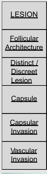 <p>follicular adenomatoid hyperplasia, follicular adenoma, MIFTC, angioinvasive FTC</p>