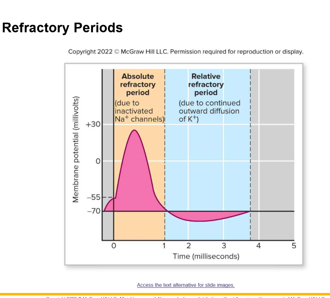refractory
inactive
strong
