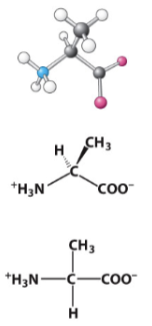 <p>Hydrophobic R-group. </p>