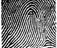 <p><span><span>opens toward the pinky</span></span></p>