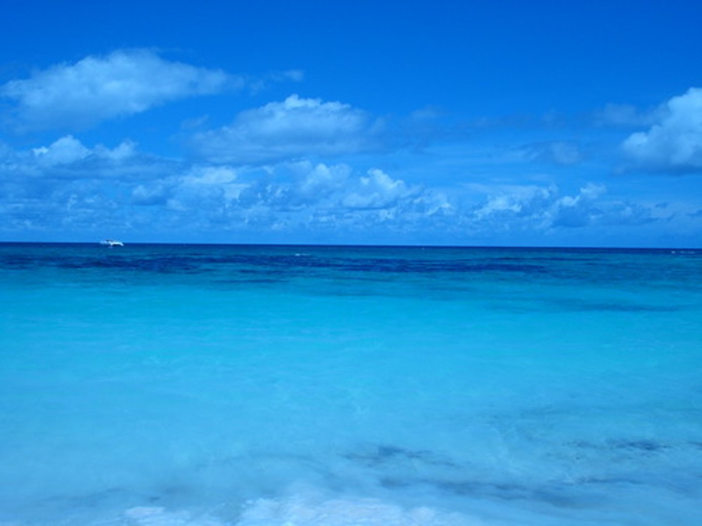 <p>Blue</p>