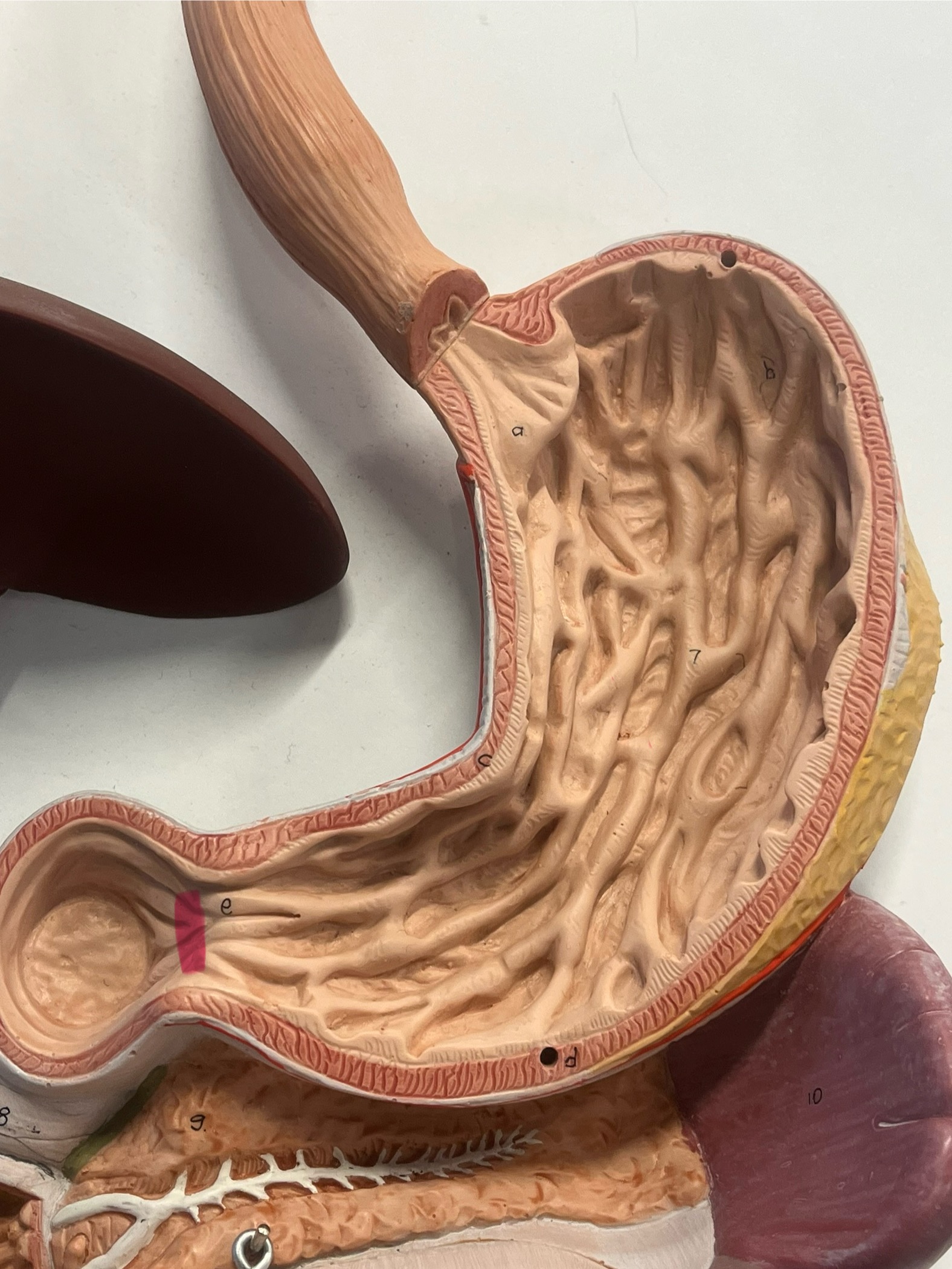 <p>what is this?</p>