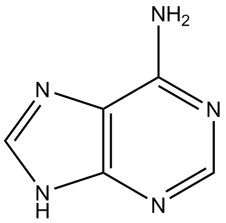<p>purine with amine group</p>