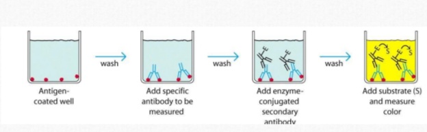 <p>Identify & enumerate the usage </p>