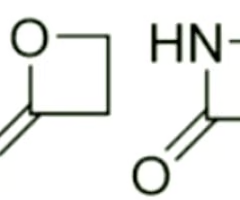 <p>are these lactones and lactams generally reactive or non-reactive? why? </p>