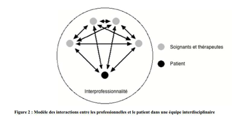<p>L’Interdisciplinarité</p>