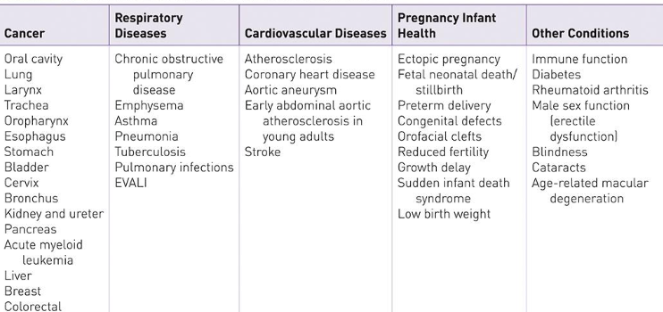 <p><strong>Cardiovascular Diseases:</strong></p><p>• Atherosclerosis (risk factor for CHD) </p><p>• Coronary heart disease (#1 death in US) </p><p><strong>Pulmonary Diseases:</strong></p><p>• COPD: chromic obstructive pulmonary disease</p><p>• Emphysema-destruction of bronchial alveoli </p><p>• Chronic Bronchitis: excess mucus</p><p><strong>Cancer:</strong></p><p>• Lung cancer, leading cause of death among cancers</p><p>• Smoking can cause various types of cancer (Table 32-2)</p><p><strong>Tobacco Use and Other Drugs:</strong></p><p>• Tobacco use can contribute to alcohol use</p>