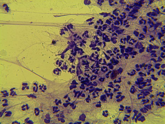 <p>What does this show?</p>