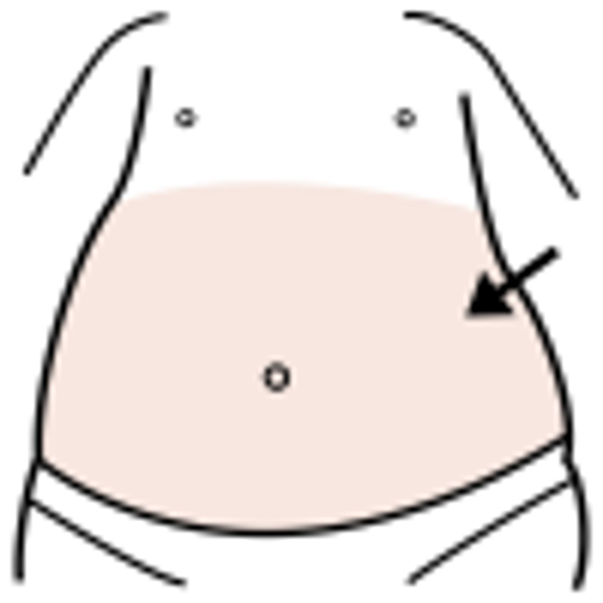<p>abdomen / stomach (belly)</p>