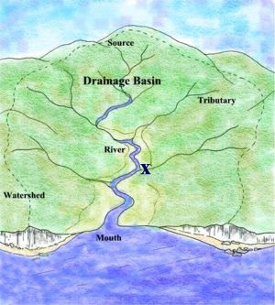 <p>also called a watershed, it is the land area that contributes to a particular stream</p>