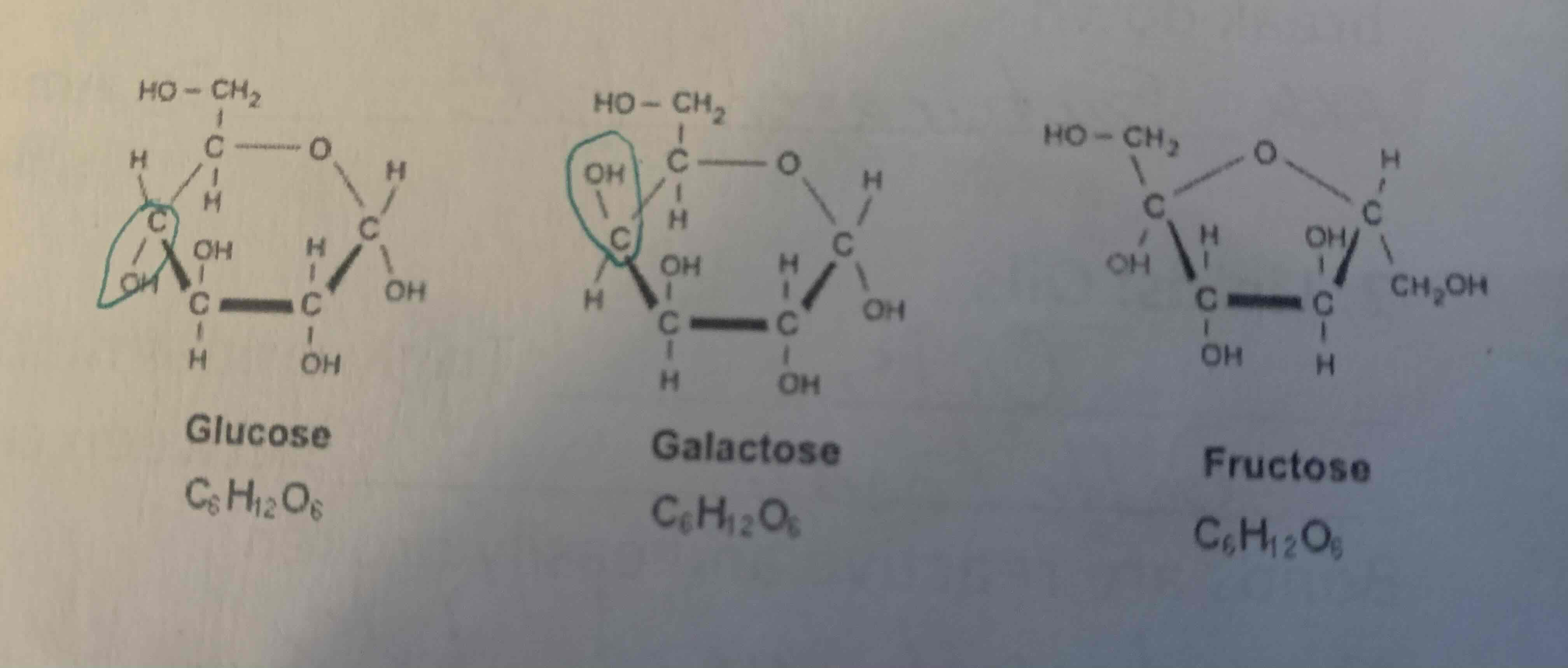 <p>Carbohydrates are organic compounds made up of carbon, hydrogen, and oxygen. (1:2:1) ratio. They are a major source of energy for the body. Examples include sugars, starches, and fibers. <br></p>