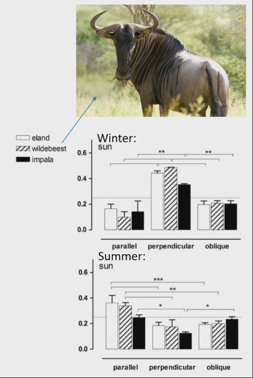 <ul><li><p>In winter:</p><ul><li><p>All 3 animals want to be perpendicular to sun to maximize solar radiation heat gain</p></li></ul></li><li><p>In summer:</p><ul><li><p>All 3 animals want to be parallel to the sun to minimize heat gain</p></li></ul></li></ul><p></p>