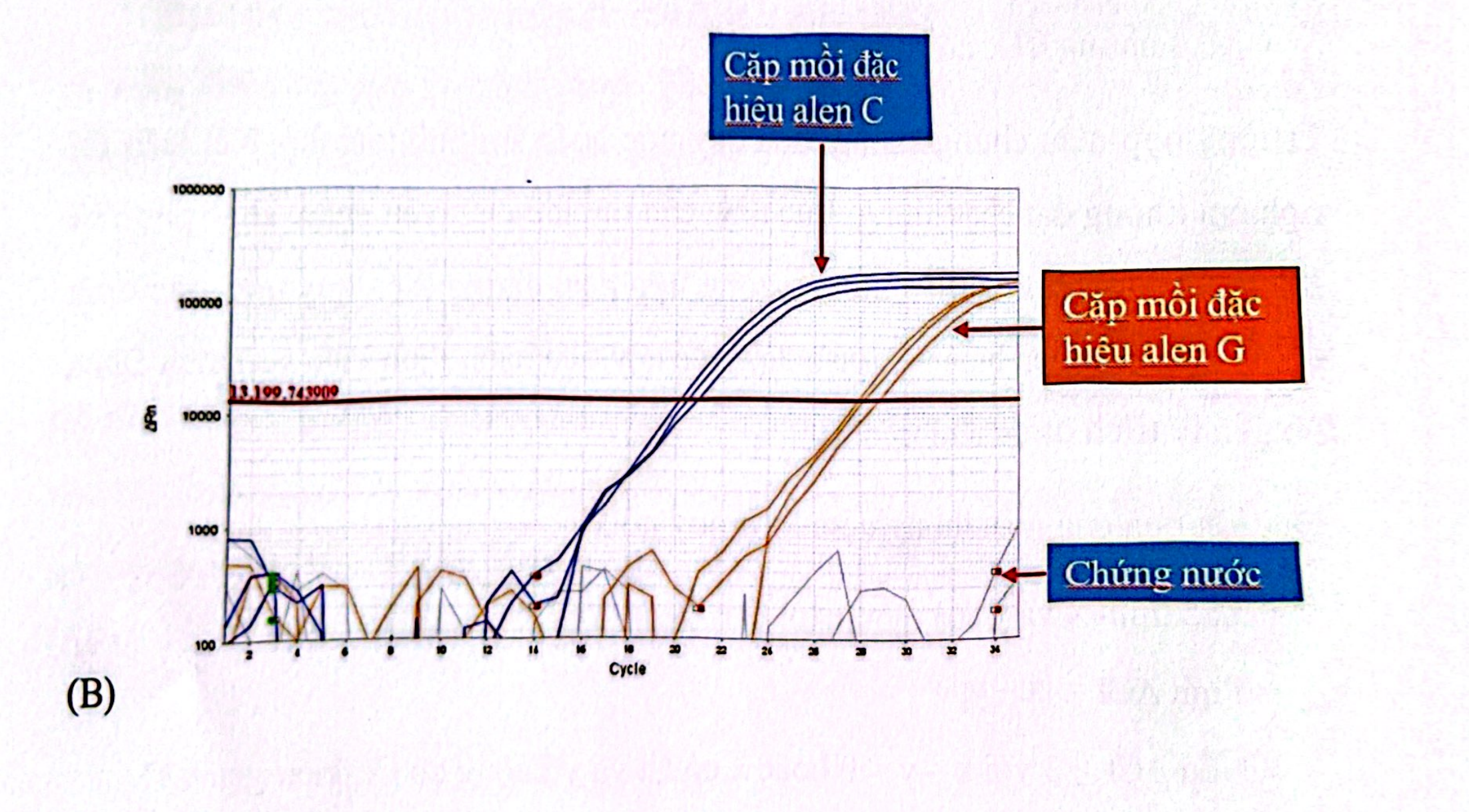 <p>Hình trên cho thấy biểu đồ đường cong khuếch đại của KG nào ?</p><p>A. CC</p><p>B. CG</p><p>C. GG</p><p>D. Không có đáp án nào đúng</p>
