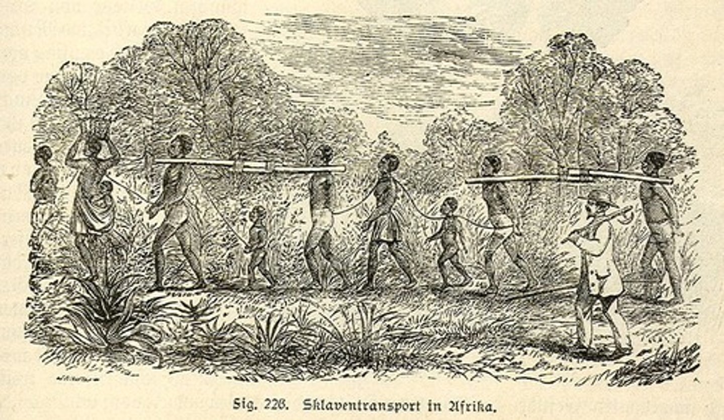 <p>- At the bottom of the Southern social structure</p><p>- Individuals forced into servitude (mostly in the South) who experienced great brutality</p>