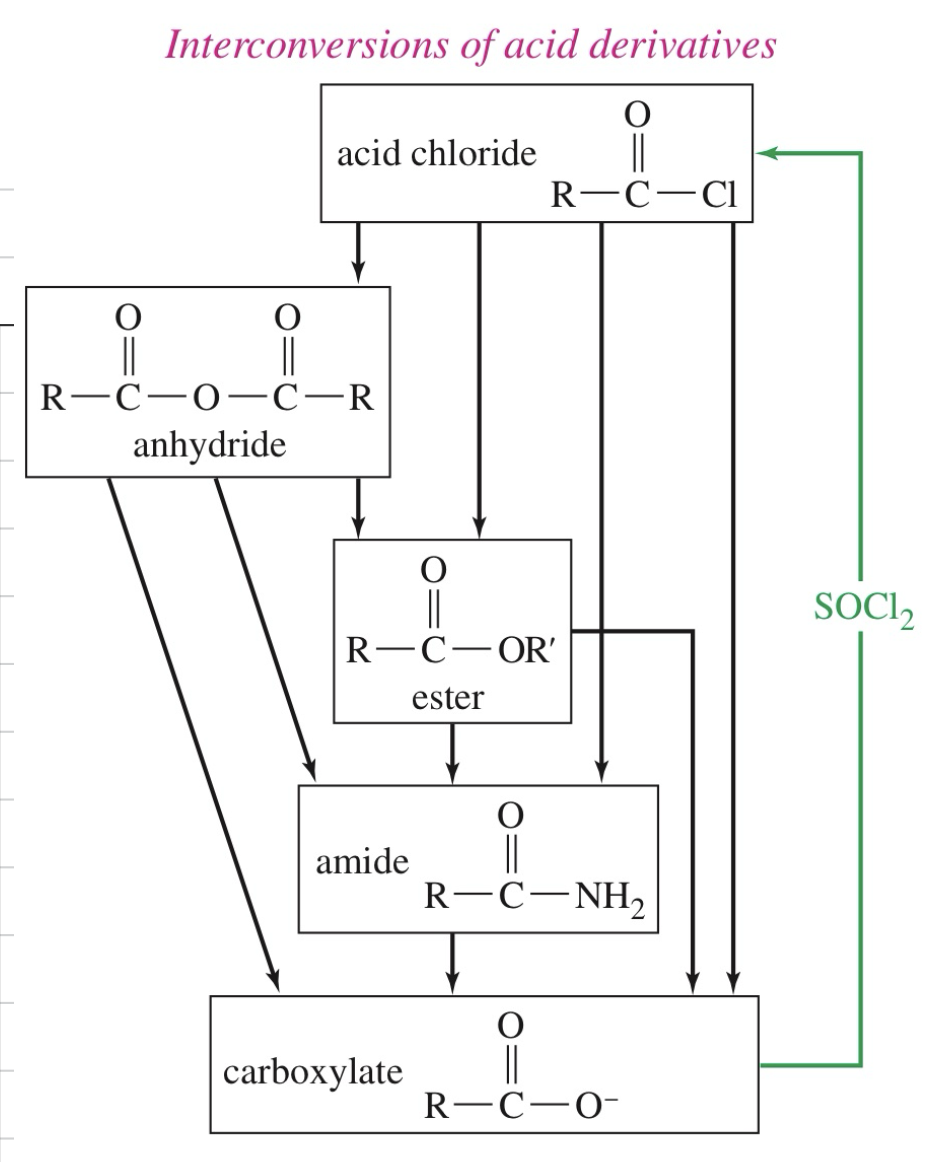 <p>Acid chloride &gt; anhydride &gt; ester &gt; amide &gt; carboxylate</p>