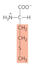 <p>What is this?</p>