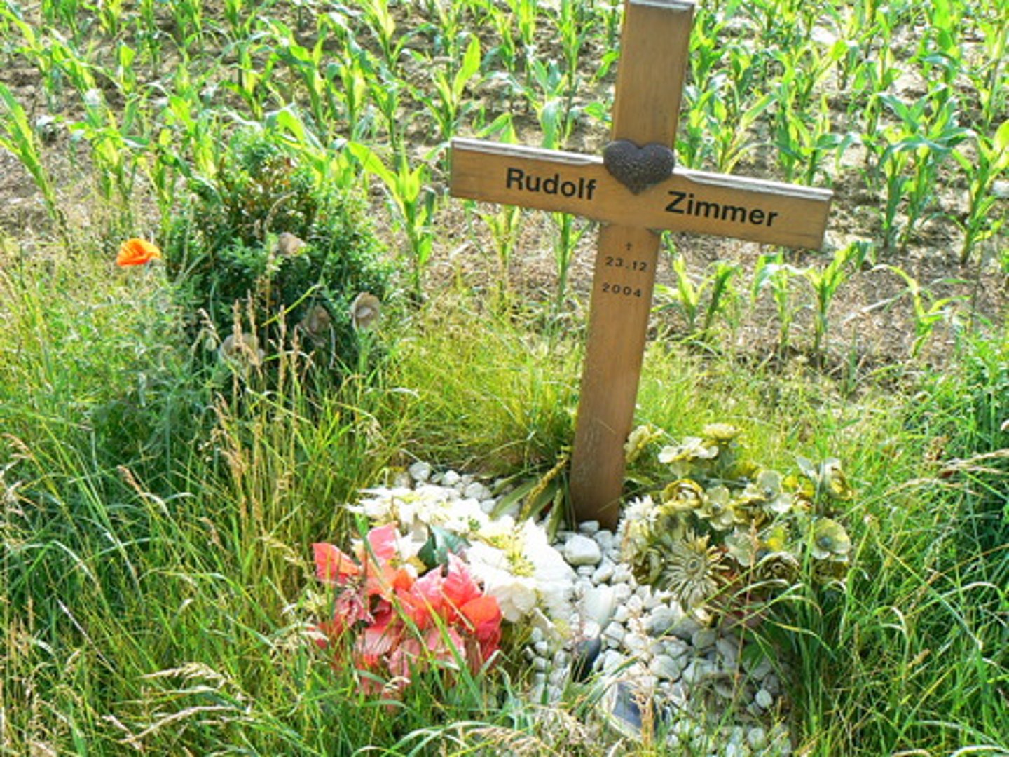 <p>umrzeć na</p>