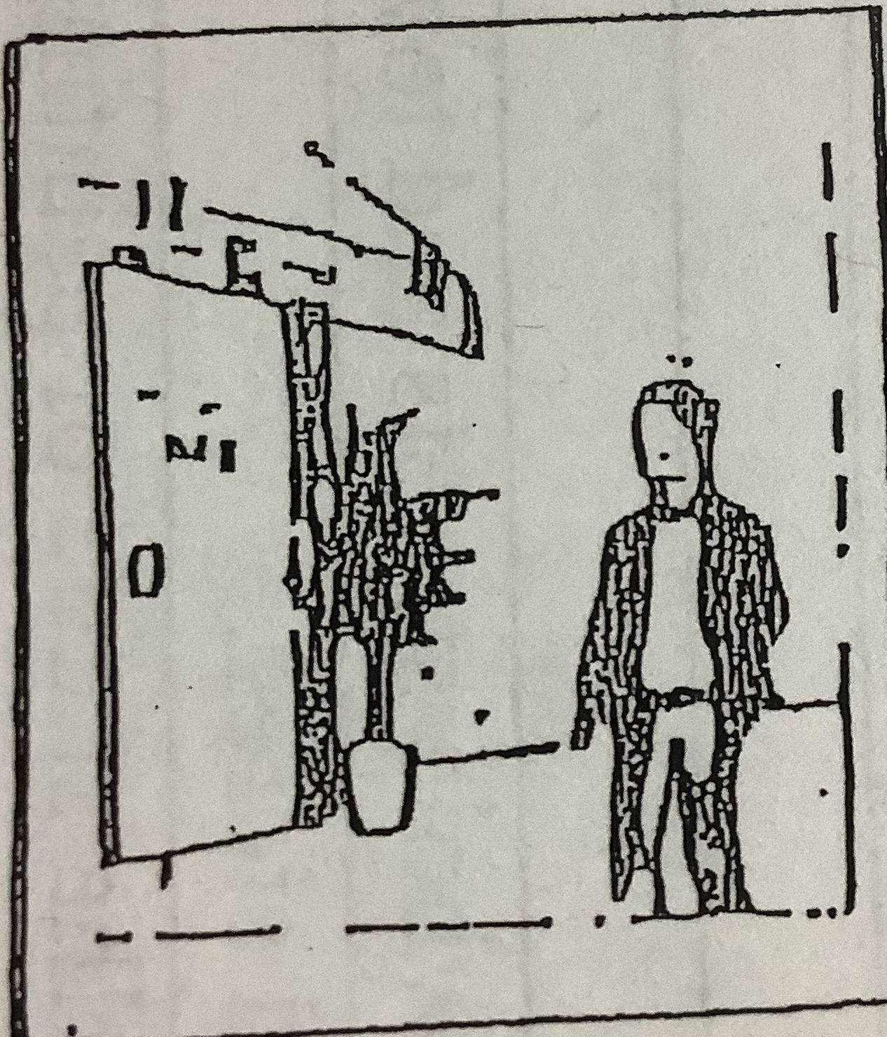 term image