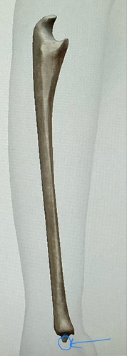term image