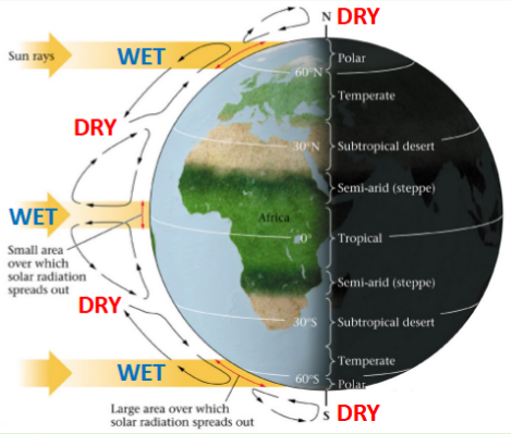 <ul><li><p>Solar energy and atmospheric circulation control precipitation patterns on Earth.</p></li><li><p>Where air rises → air moisture condenses → rain</p></li><li><p>Where air sinks → low moisture content → dry</p></li></ul><p></p>