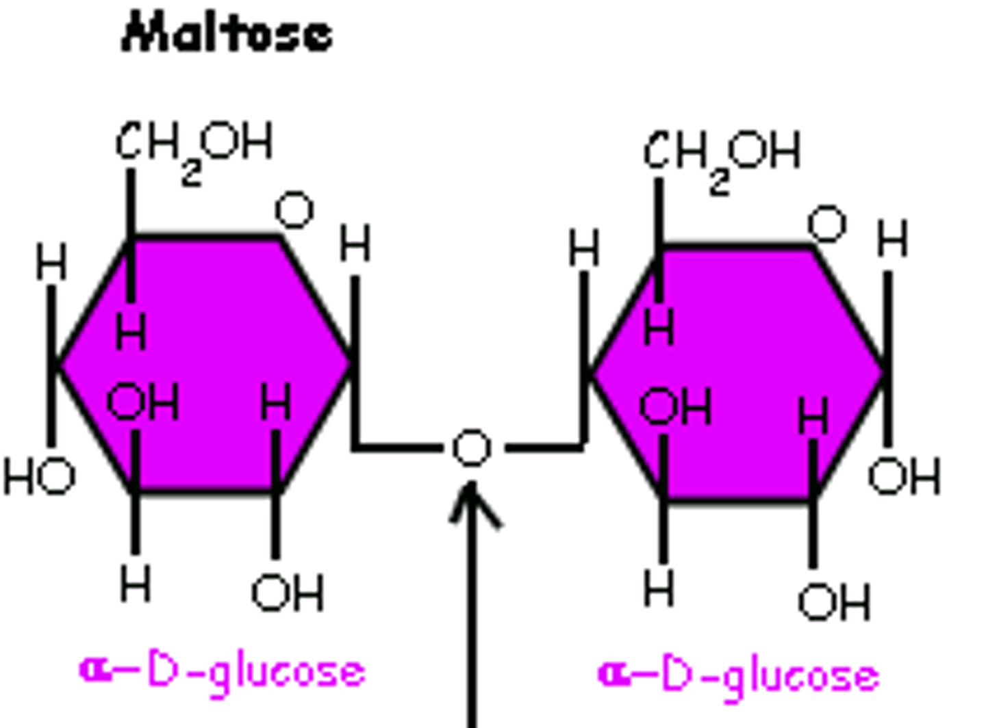 <p>- both OH groups are facing down</p><p>|_o_|</p>