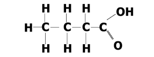 <p>Identify this structure</p>