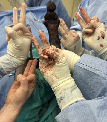 <p>soft padded bandage for 1-2 weeks</p>