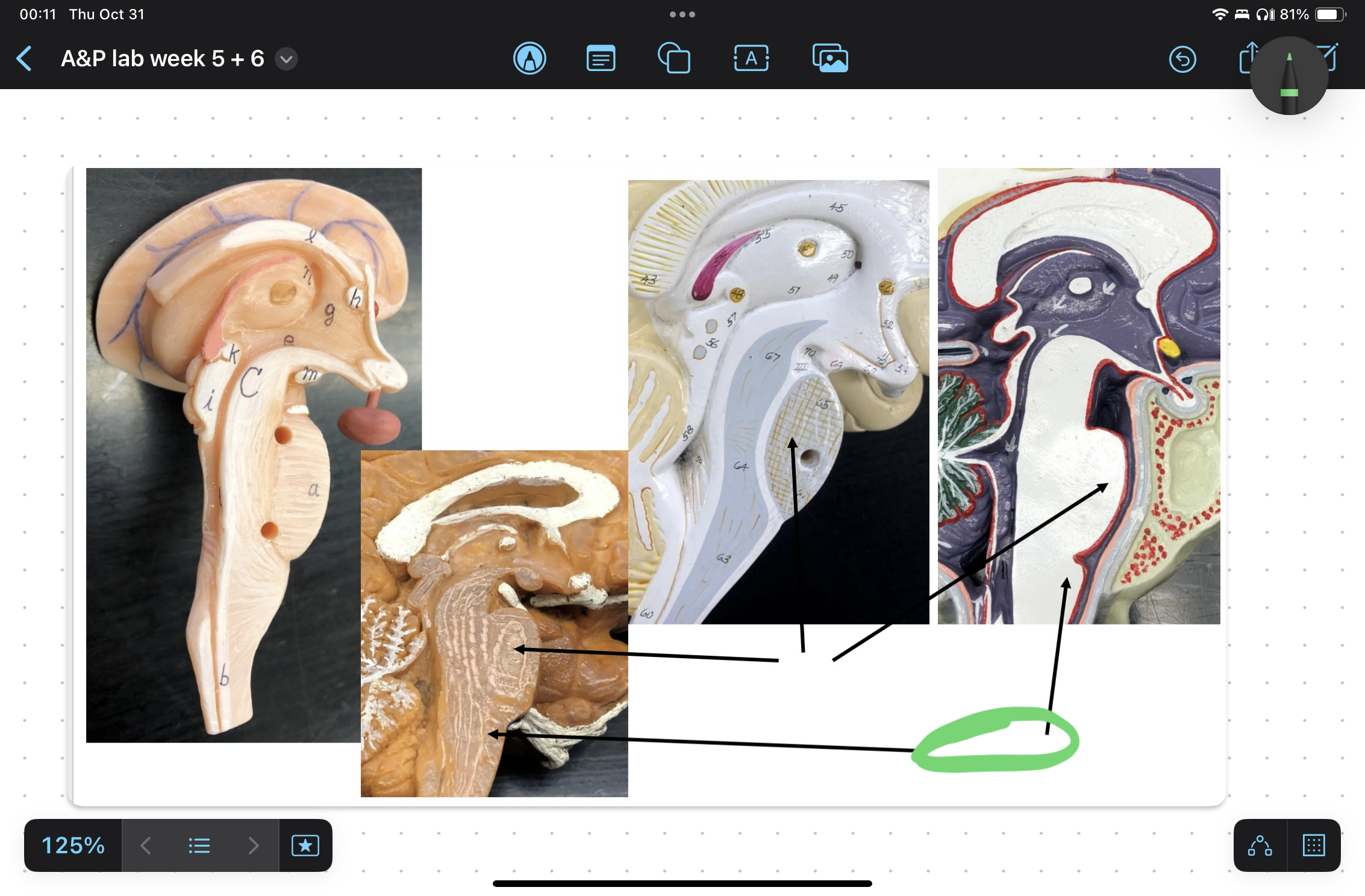 knowt flashcard image
