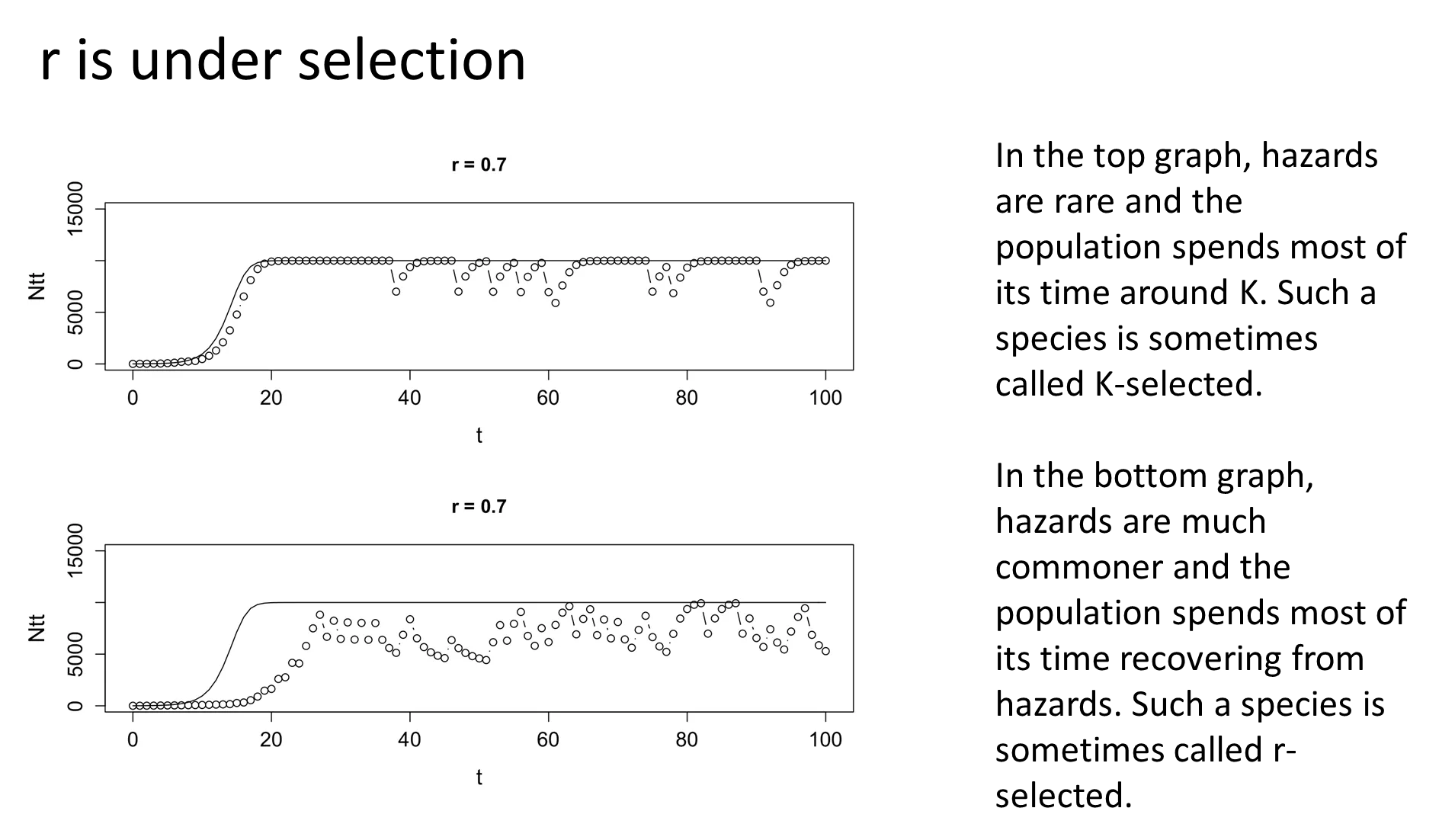 <ul><li><p>r is selected based on the environment a population is in</p></li><li><p>when you live in a <strong>non-hazardous</strong> environment, your population is more dependent on <strong>stochastic </strong>variations of <strong>k</strong>, so a low r is favoured <strong>(k-selected)</strong>:</p><ul><li><p>resource competition favours large body size, late maturation and few, large offspring eg. seabirds, elephants + whales</p></li></ul></li><li><p>when you live in a <strong>hazardous </strong>environment, your population spends more time <strong>recovering </strong>from crash events, so a<strong> high r </strong>is favoured to bounce back faster <strong>(r-selected)</strong>:</p><ul><li><p>recovery phases favours small body size, large, frequent litters and early sexual maturity eg. rabbits + rodents</p></li></ul></li></ul><p></p>