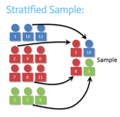 <p>the population is split into groups (strata) and then random #’s would be assigned and randomly chosen using a random # sequence</p>