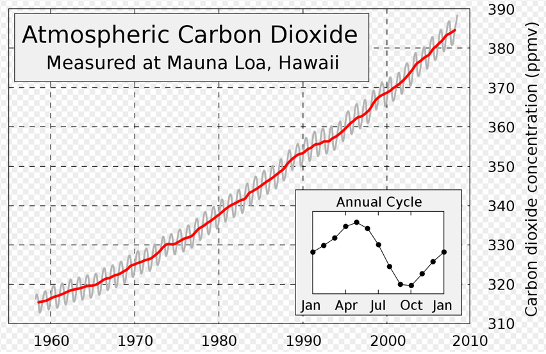 <p><span>Overall, carbon dioxide is increasing but within the year it varies. The highest concentration of carbon dioxide is in April because the trees are just coming out of “hibernation” and are starting the work, causing the concentration to decrease until October where the trees begin to go into “hibernation.”</span></p>