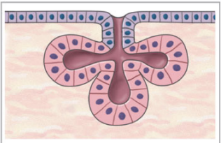 <p>What is this?</p>