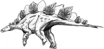 This is a stegosaurus, does it fall into Saurischian or Ornithischian and what sub category?