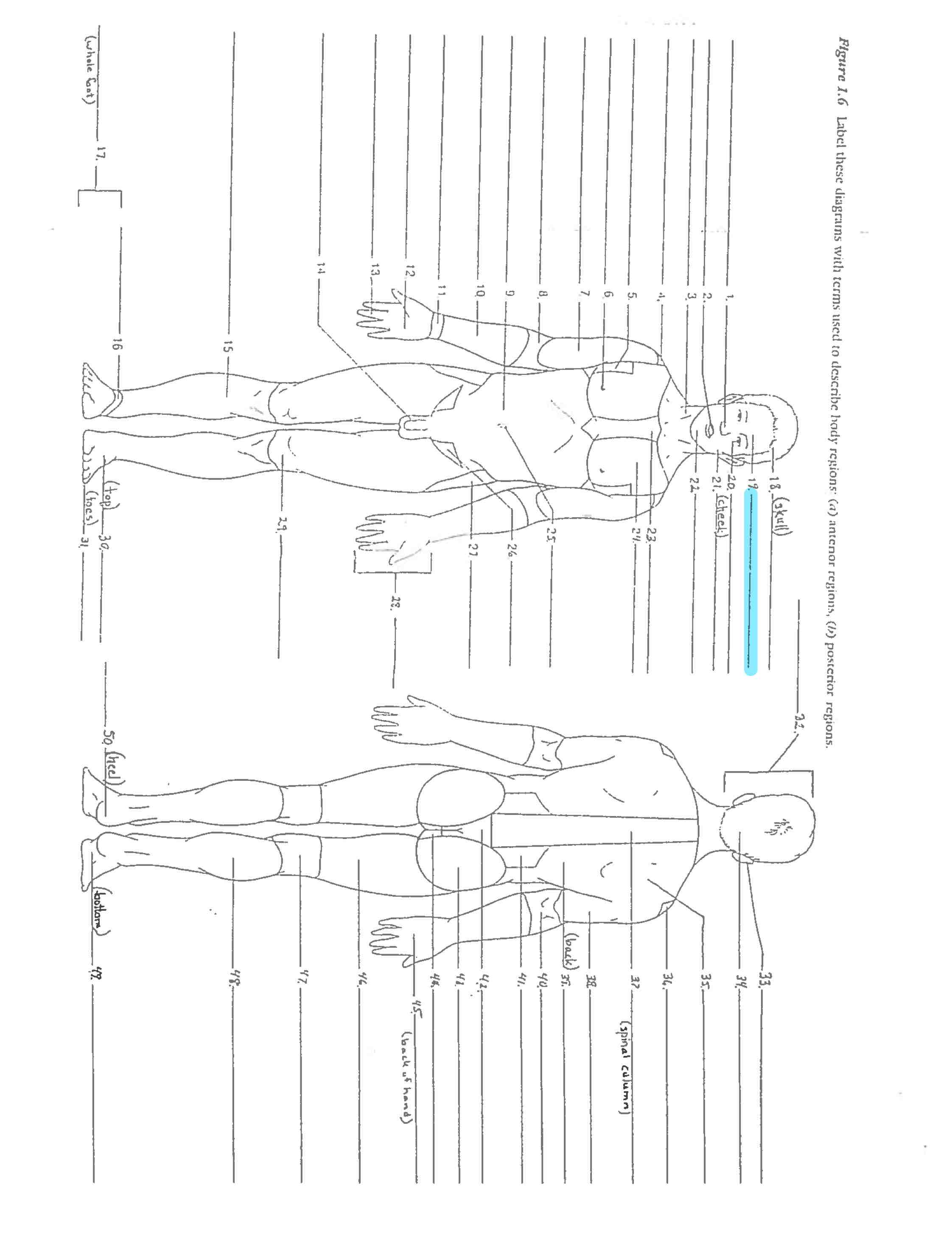 <p>Line 19 </p>